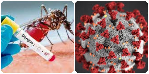COVID-19 y dengue marcan escenario epidemiológico en Camagüey