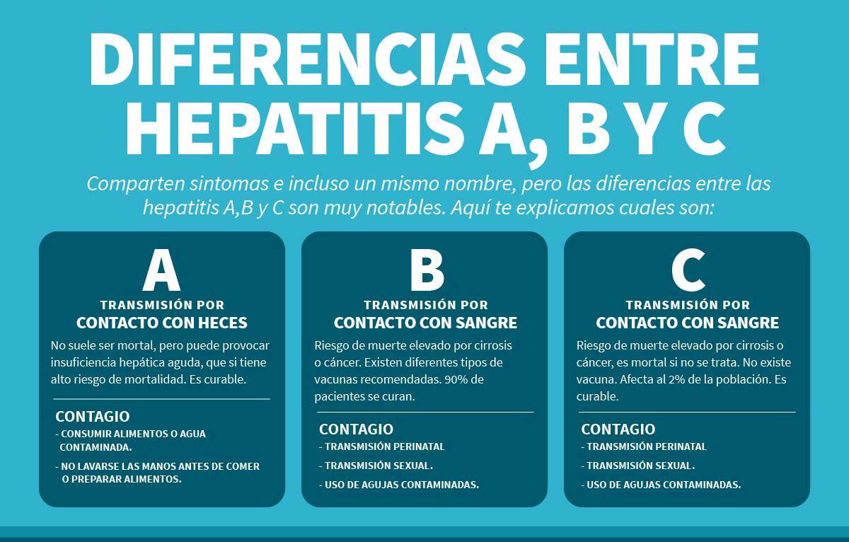 Cuáles son las diferencias entre las hepatitis A, B y C?. - Portal del  Ciudadano en Camagüey